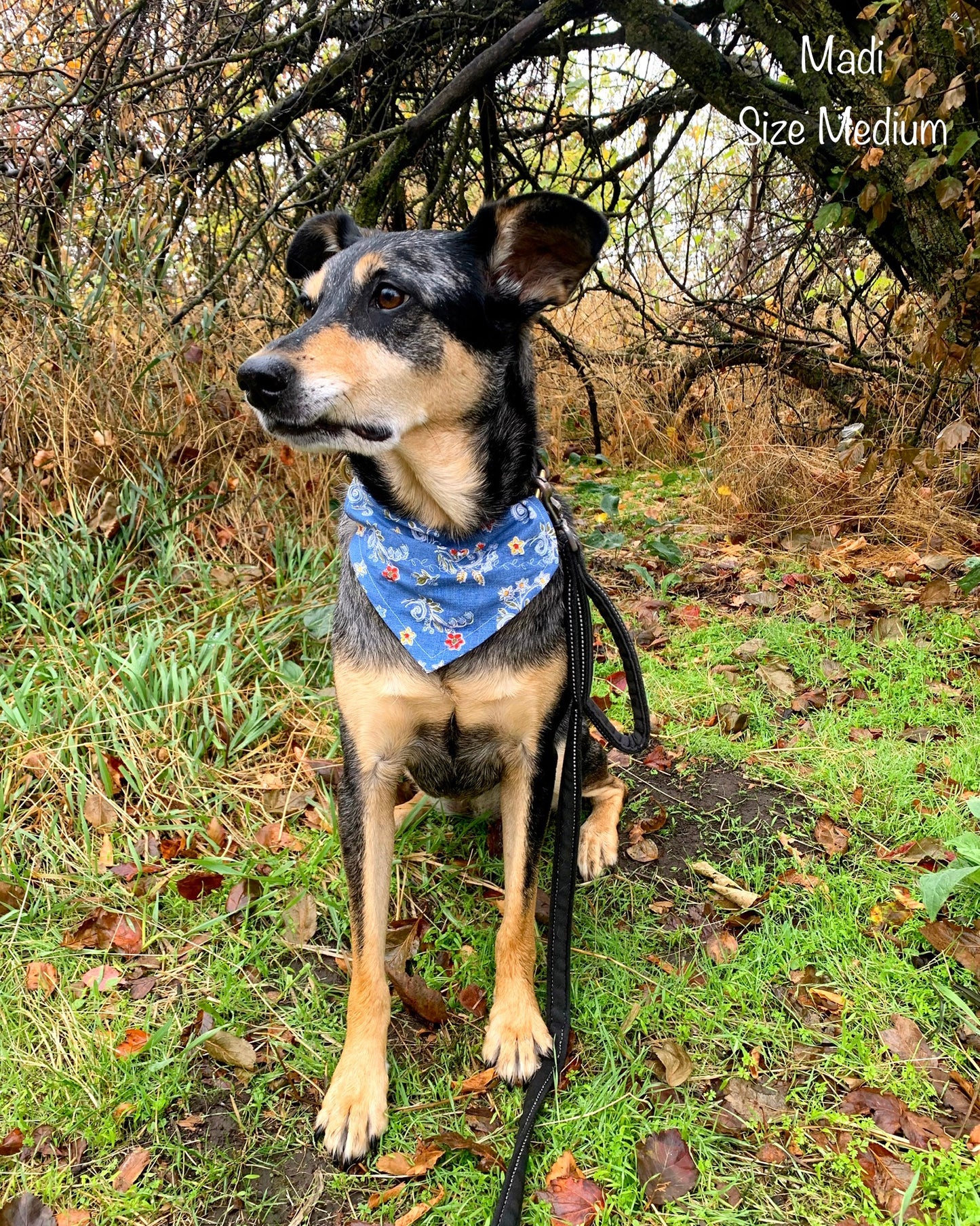 Cowgirl Daisies Bandana